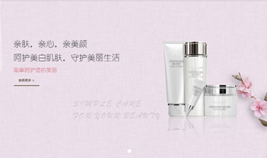 品牌化妆品案例_是青春 更是青纯_天津网站建设网页设计案例